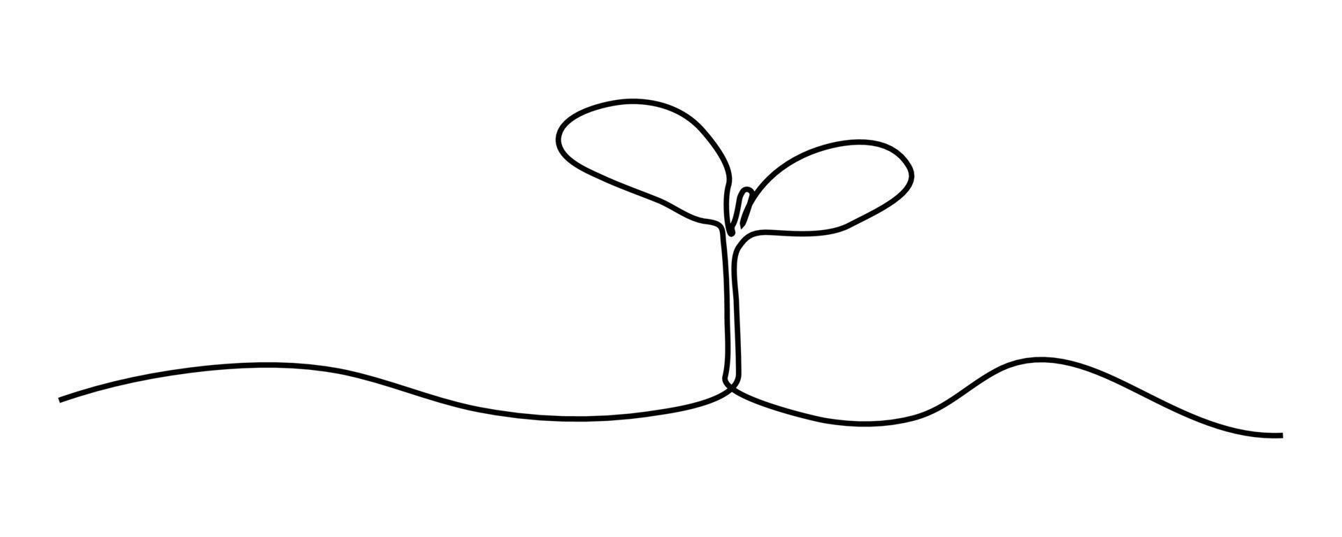continuous line sapling growing in the garden vector