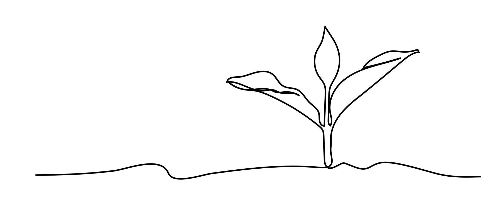 continuous line sapling growing in the garden vector