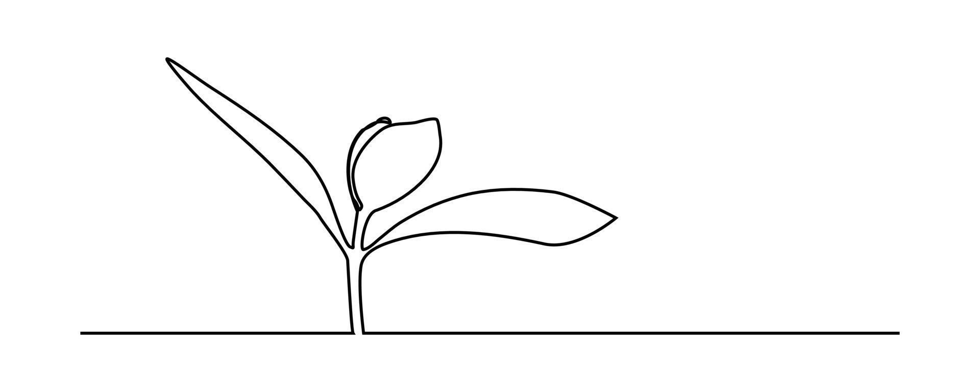 continuous line sapling growing in the garden vector