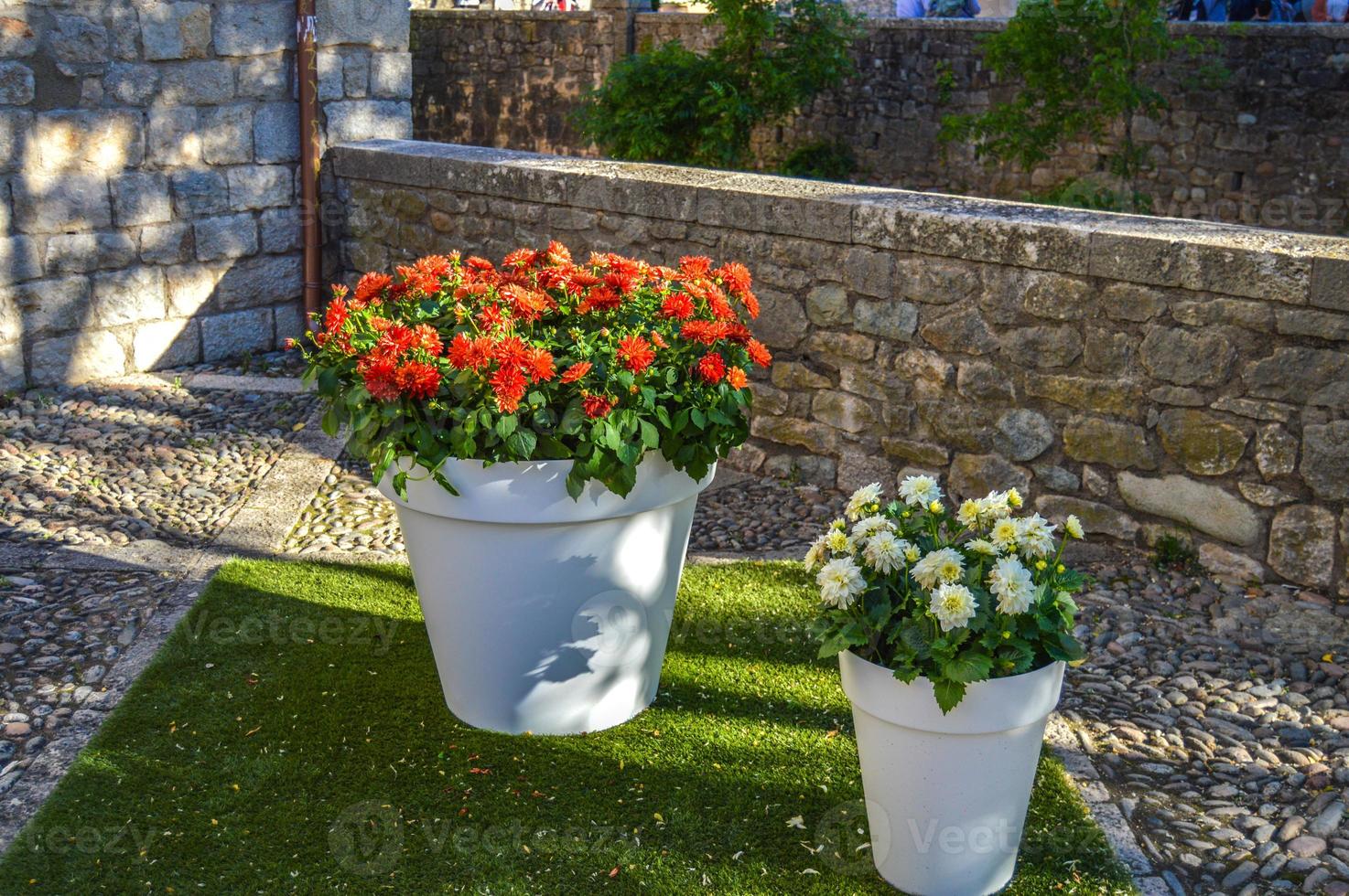 Flower Festival in Girona Temps de Flors, Spain. 2018 photo