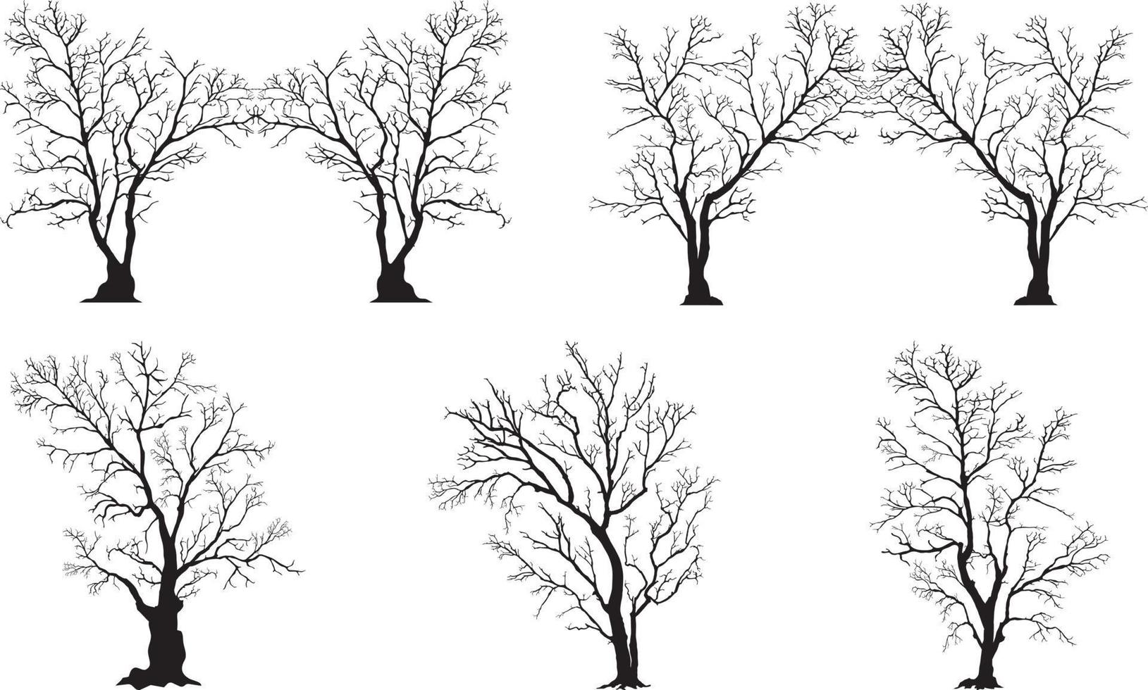 silhouette of tree without leaves vector