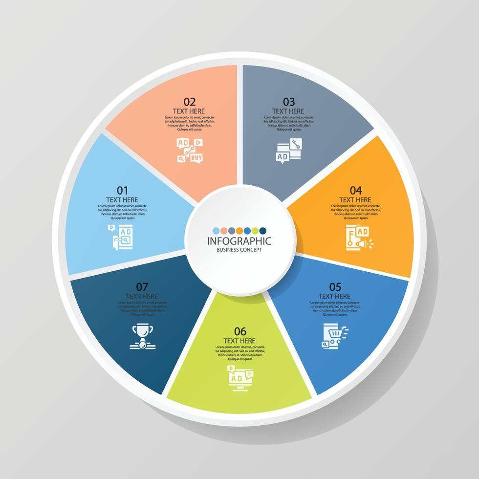 7 Step infographic vector