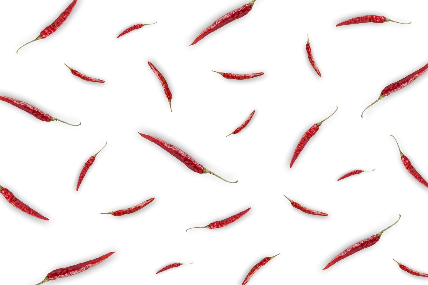 Dried and hot chili on white background for isolated. photo