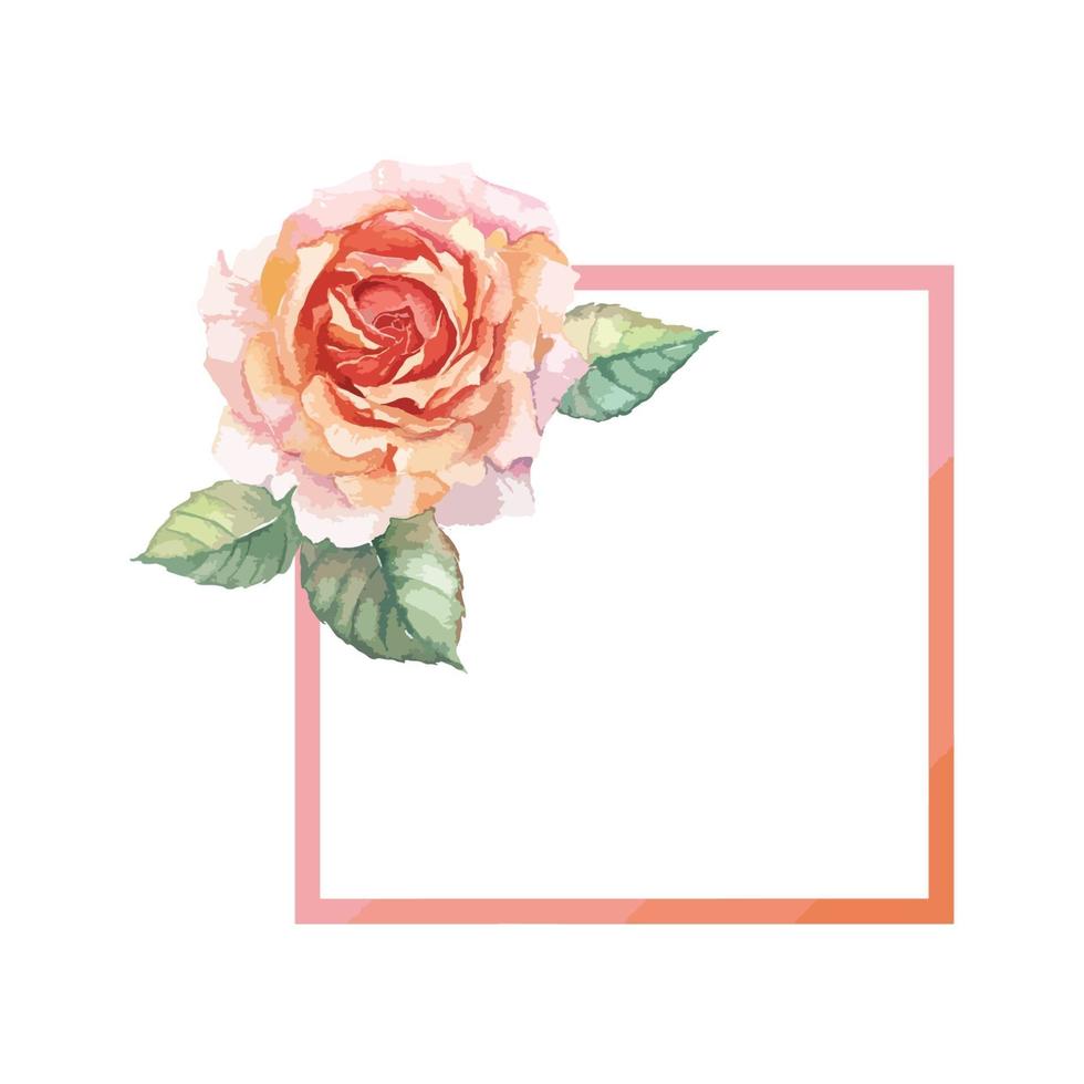 A Frame of Orange Rose watercolor vector