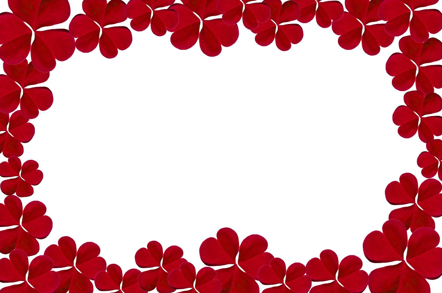 Frame from green leaves and flower on white background and free space. photo