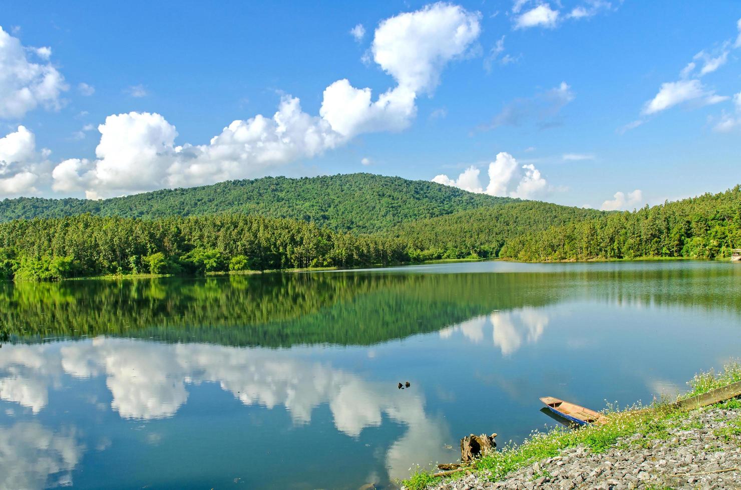 paisaje de la presa y el lago en la montaña con árboles y bosques. foto