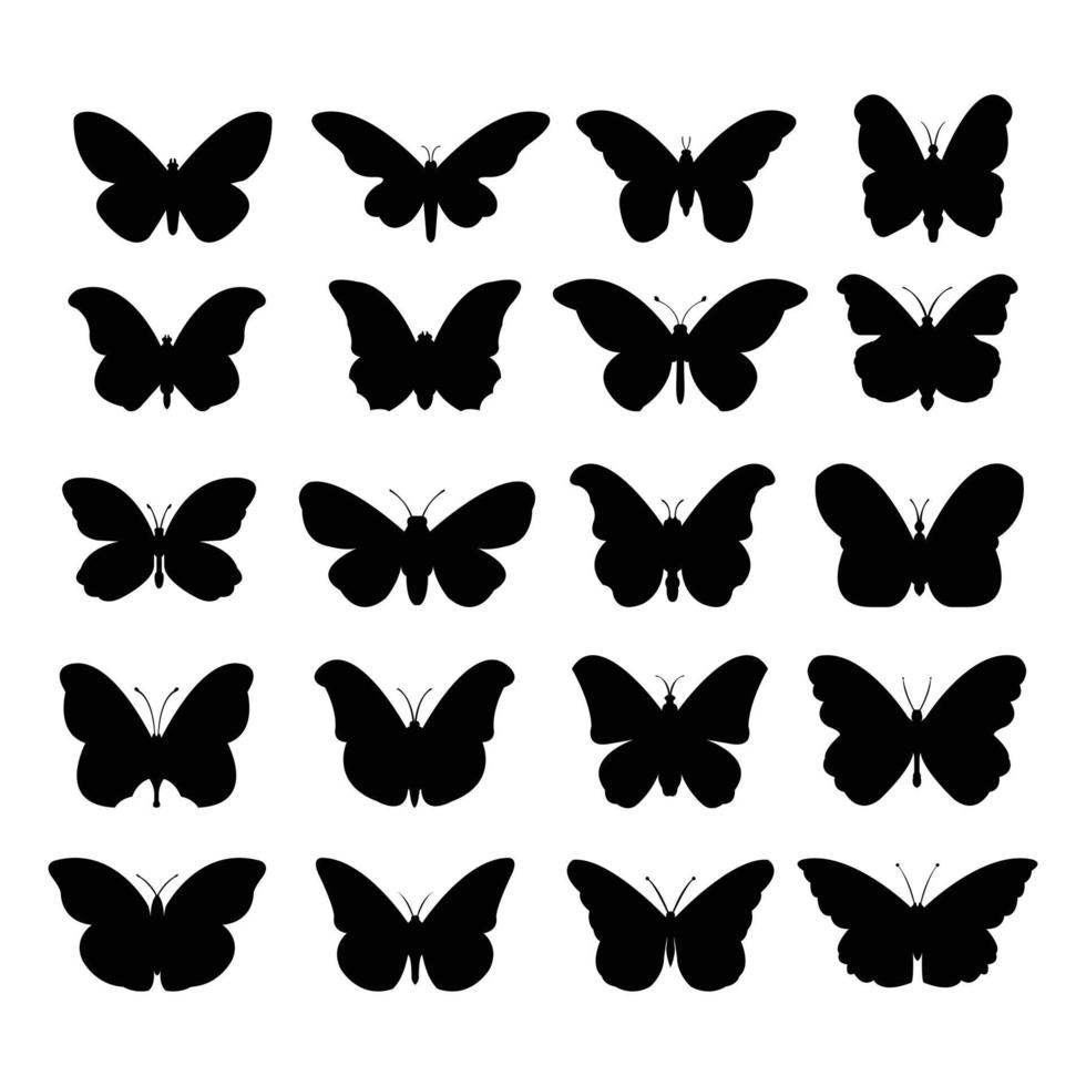 Set of butterflies illustrated on white background vector