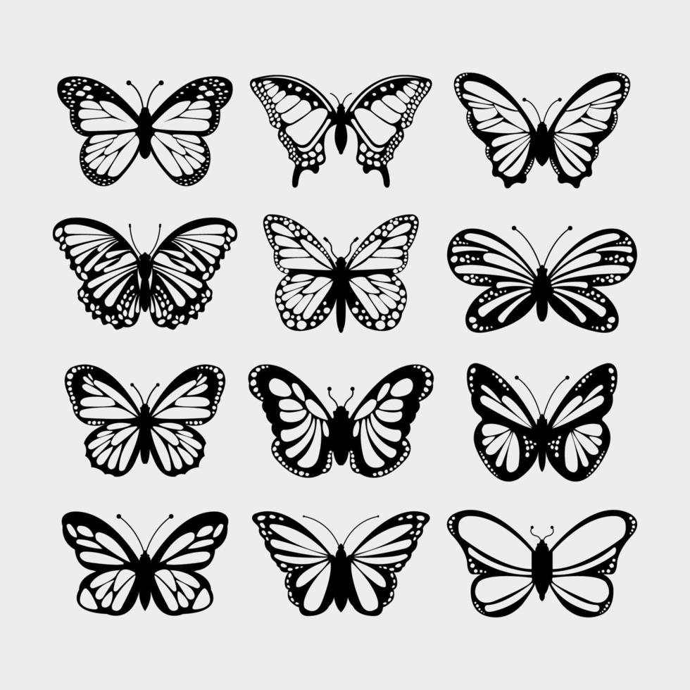 Set of butterflies illustrated on white background vector