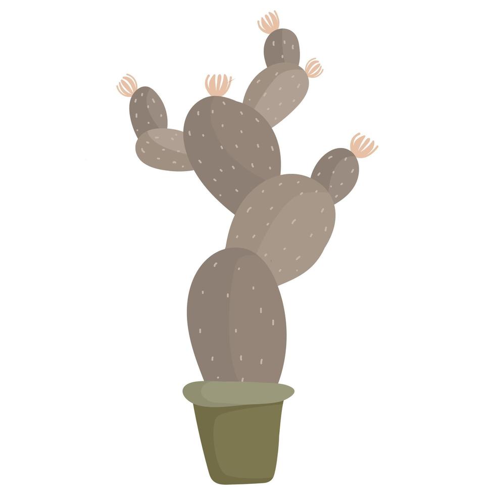 cozy cactus in pot vector