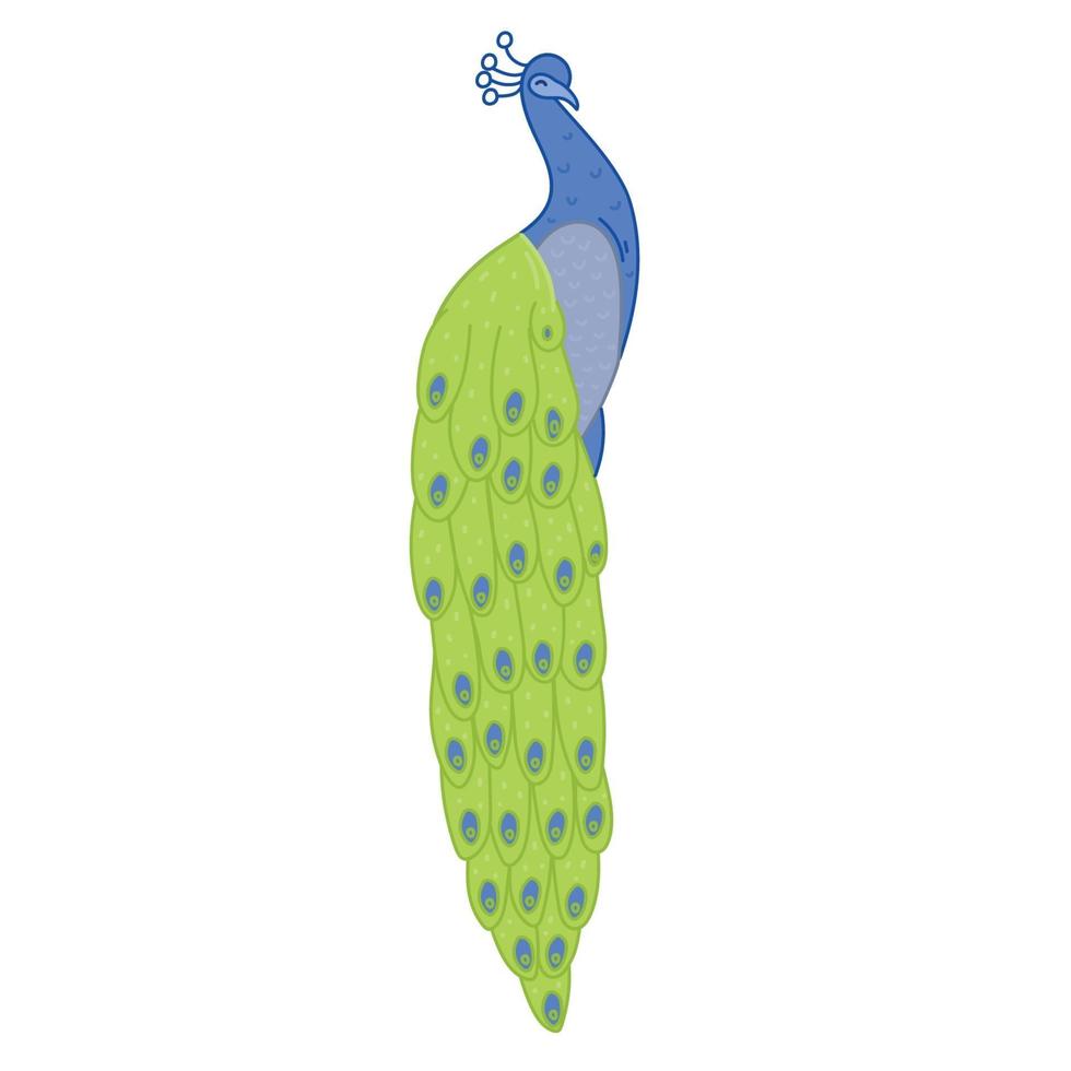 Peacock with green and blue feathers, vector illustration cartoon.