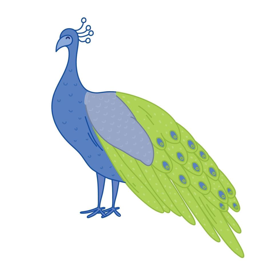 Peacock with green and blue feathers, vector illustration cartoon.