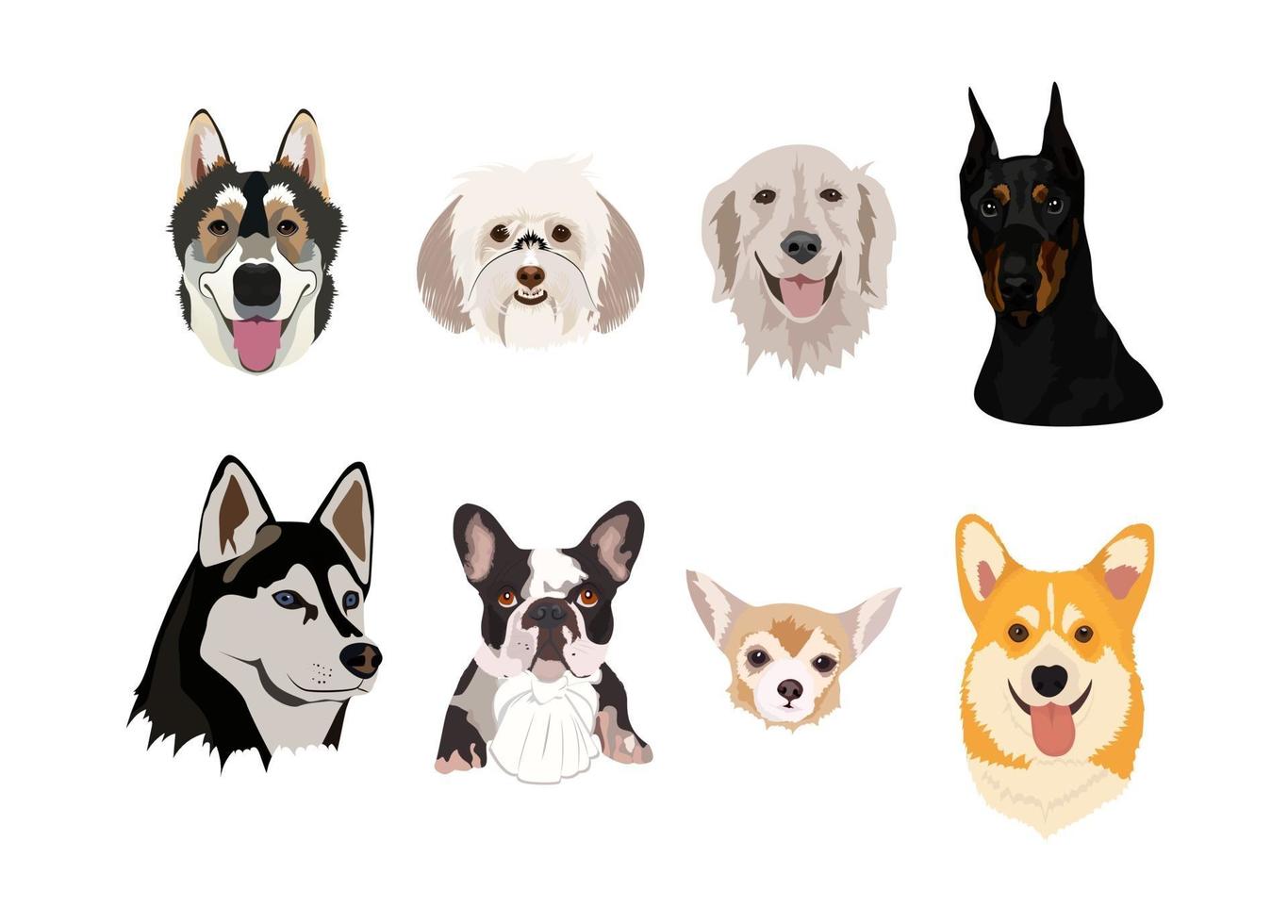 Dogs collection. Breeds of dogs isolated on white vector