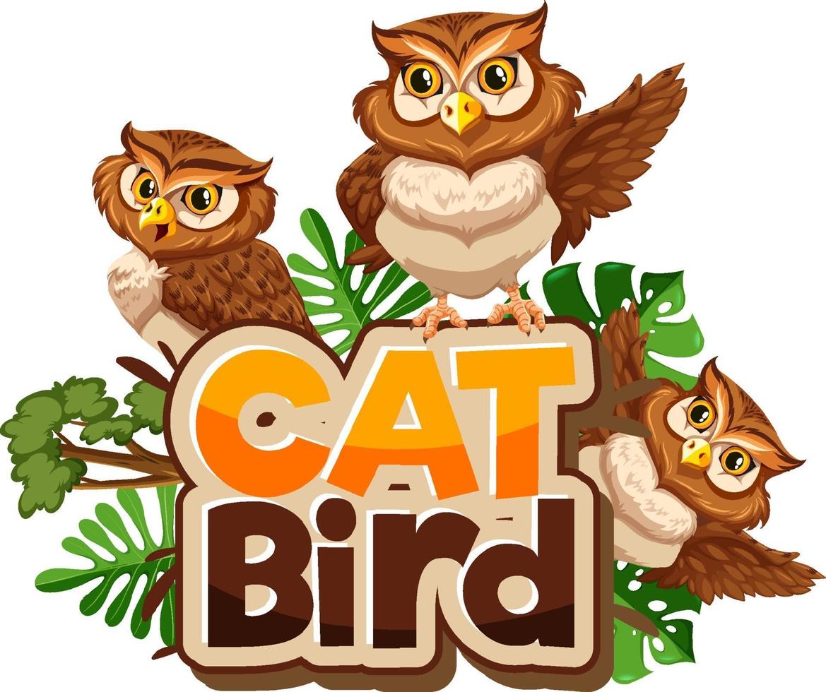 Many Owls cartoon character with Cat Bird font banner isolated vector