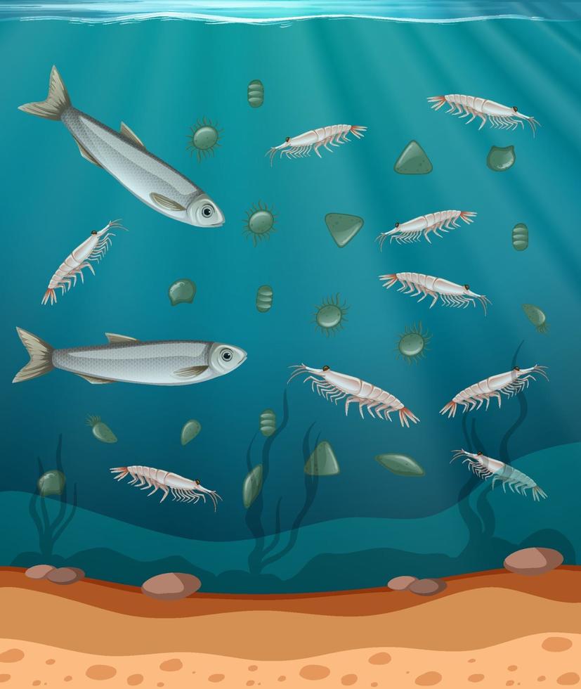 Fish and plankton in the water vector