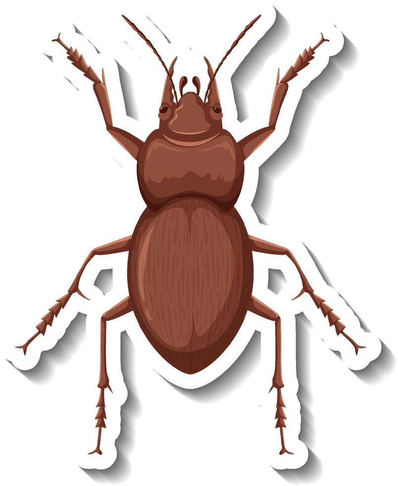 A sticker template with top view of a beetle isolated vector