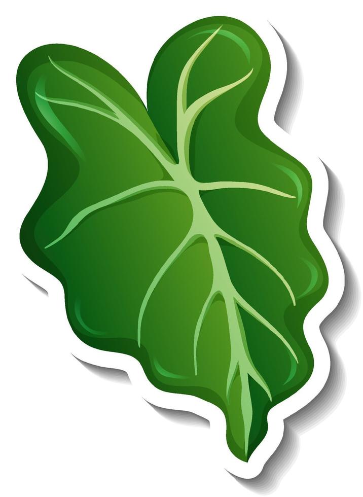 A sticker template with a tropical leaf isolated vector