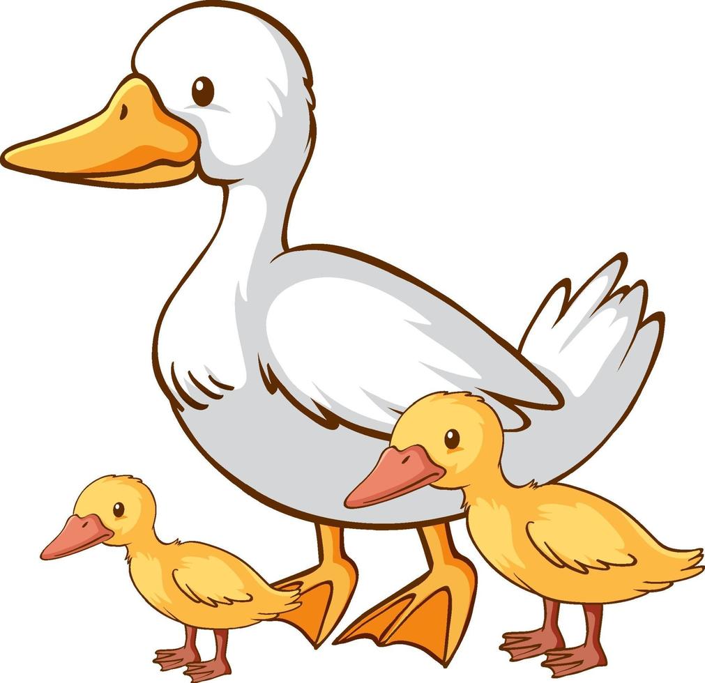 Mother and baby duck cartoon on white background vector
