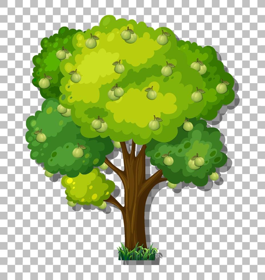 árbol de guayaba aislado vector