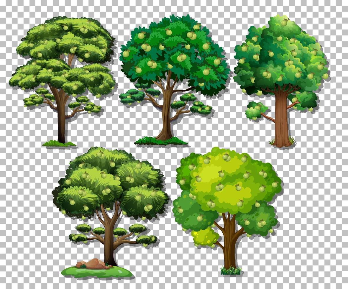 conjunto de diferentes árboles. vector