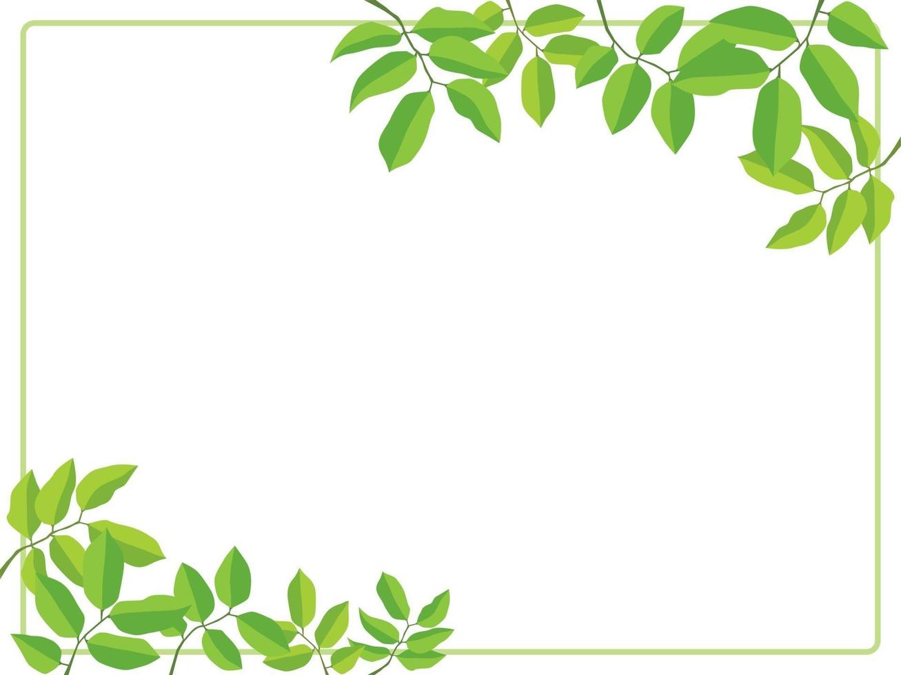 Leaf green frame on illustration graphic vector