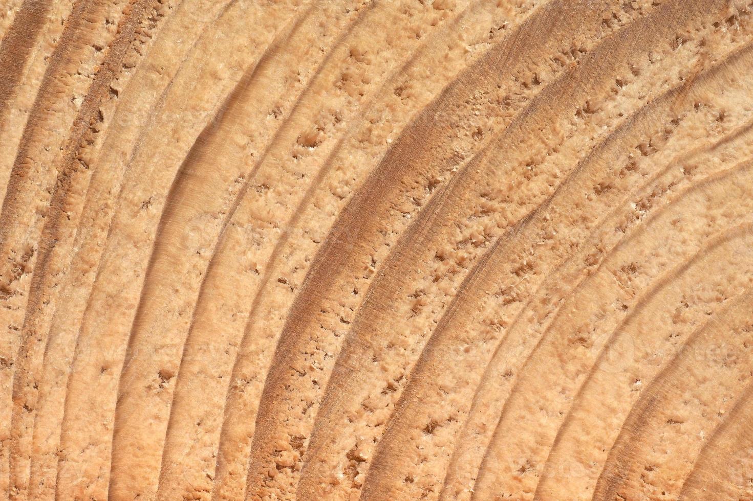 textura de madera de fondo foto