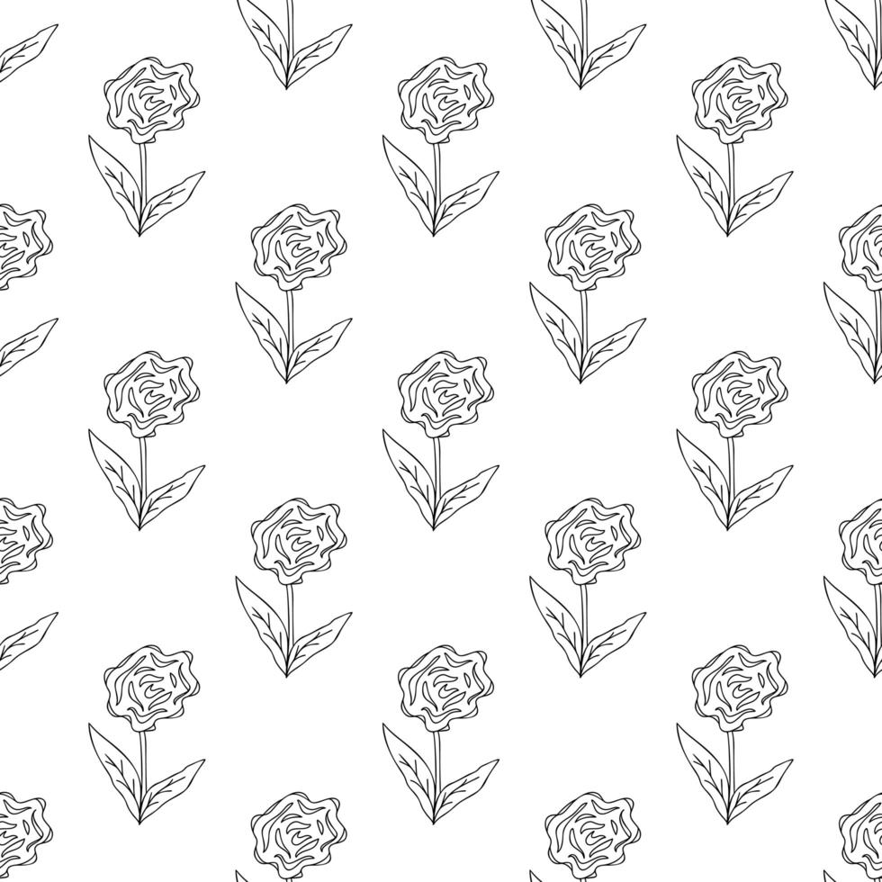 Floral seamless pattern. Isolated on white background vector