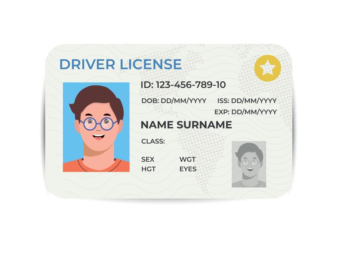 Drivers License. A plastic identity card. Vector flat template