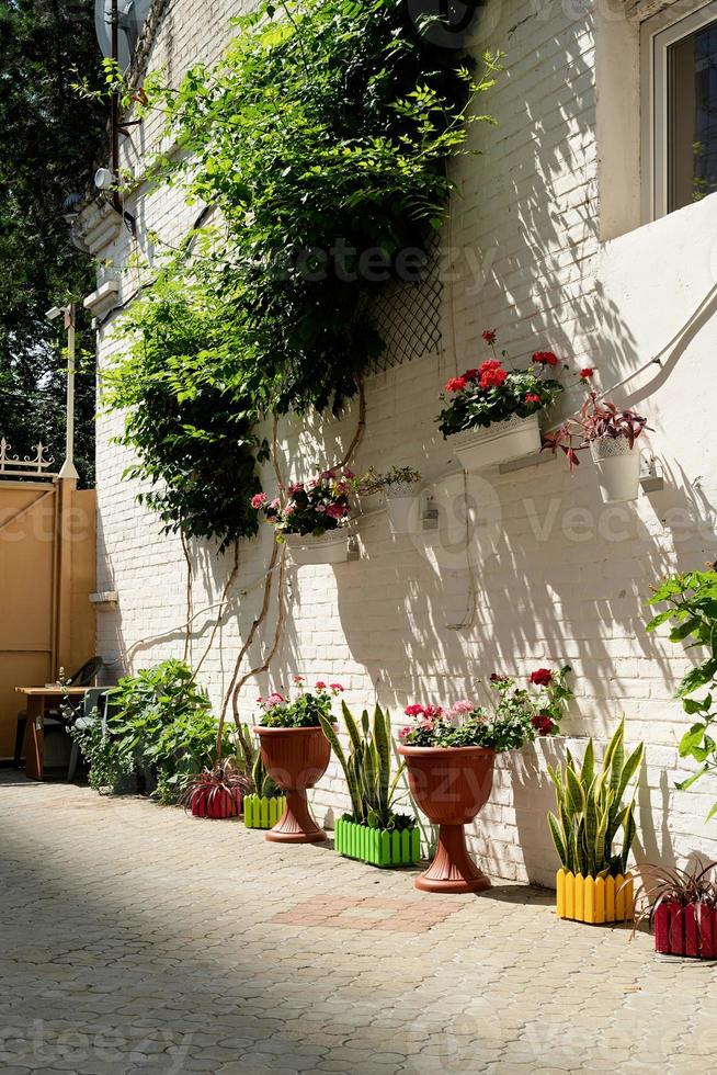 Colorfull floral street con pared de ladrillo blanco en la ciudad mediterránea foto