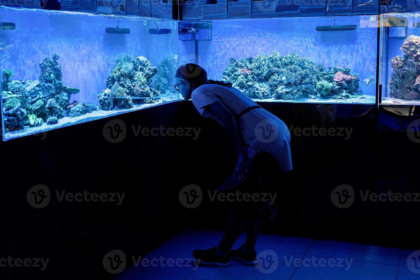 Silueta de mujer viendo acuarios con peces en el Oceanario foto