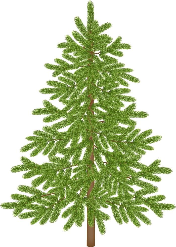 isolated empty christmas tree vector