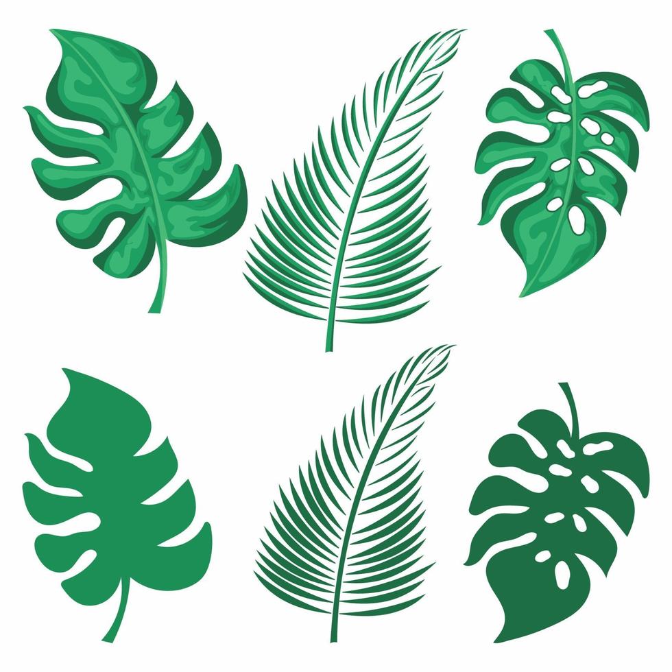 tropical leaf vector set