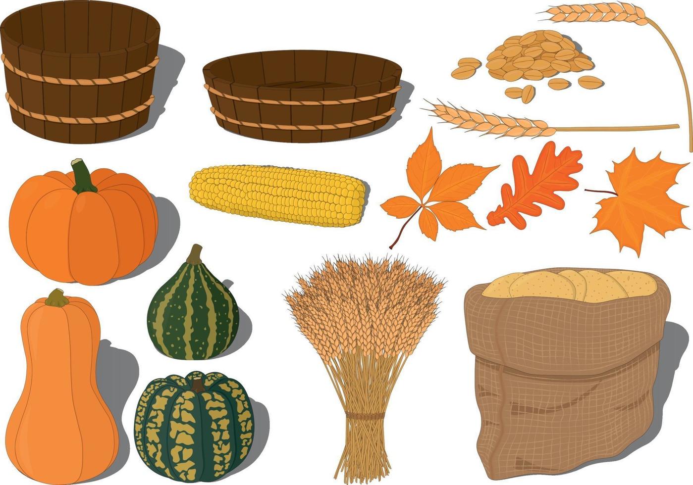 Harvest festival or thanksgiving day collection vector illustration