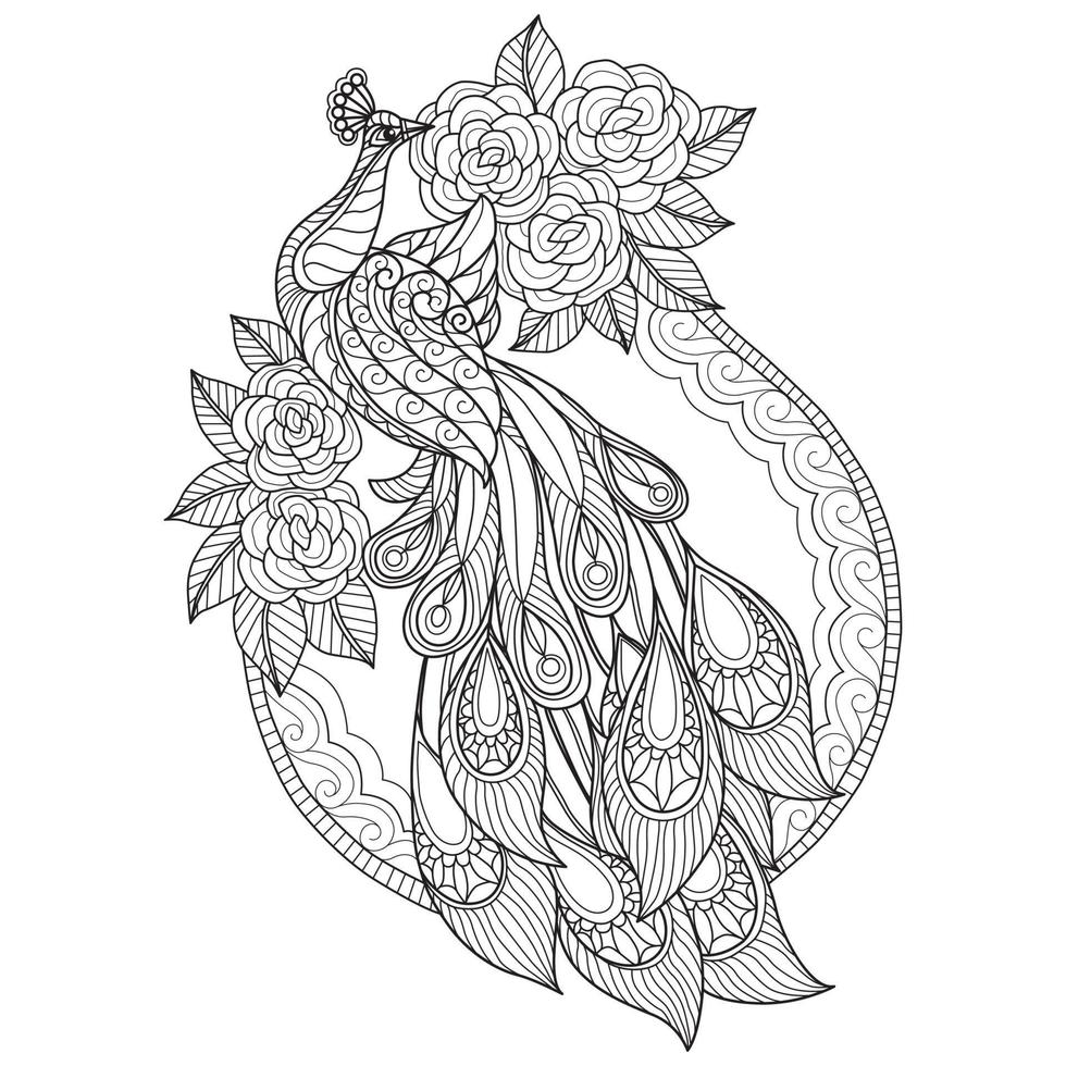 Peacock and flowers hand drawn for adult coloring book vector