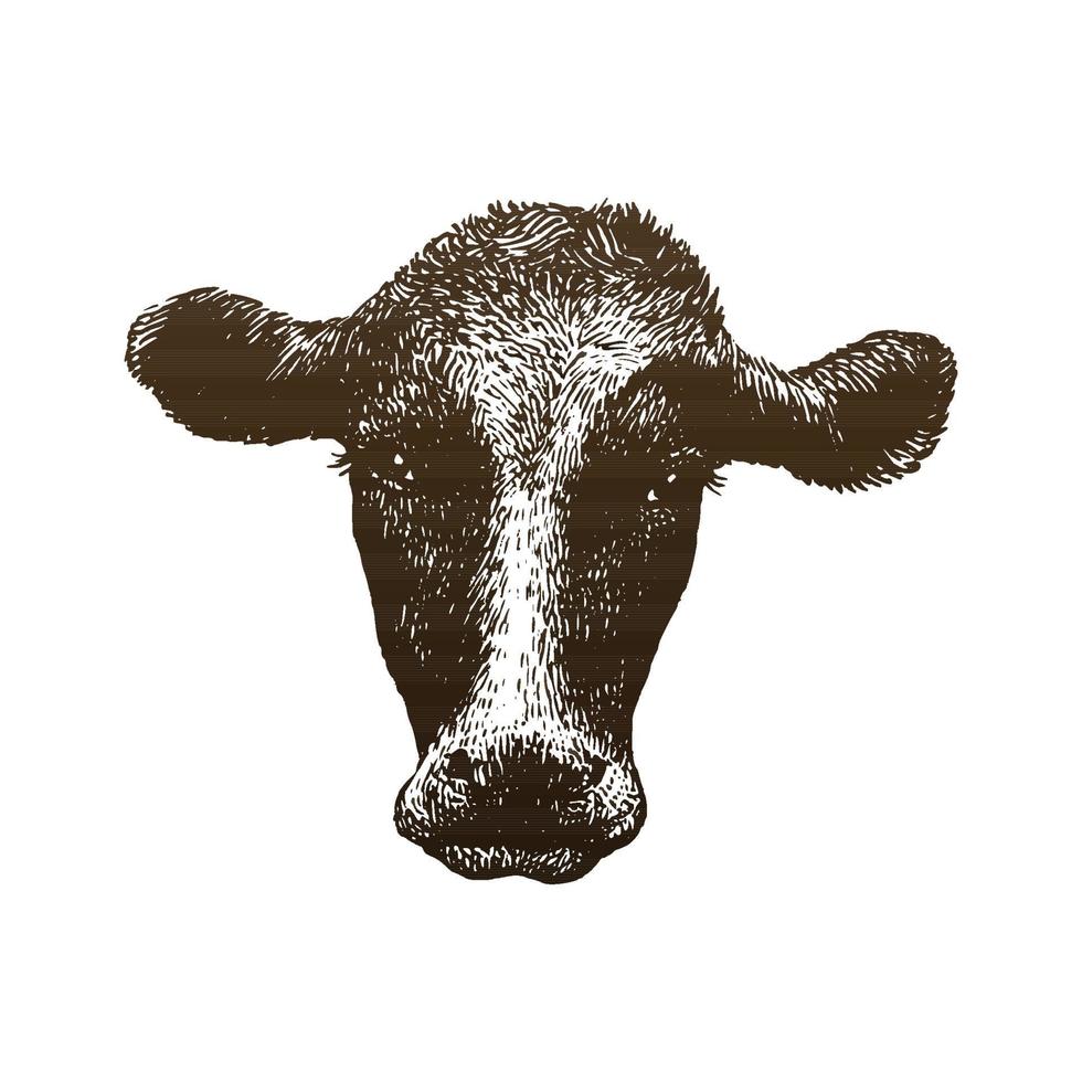 ilustración de dibujo de mano de cabeza de vaca vector