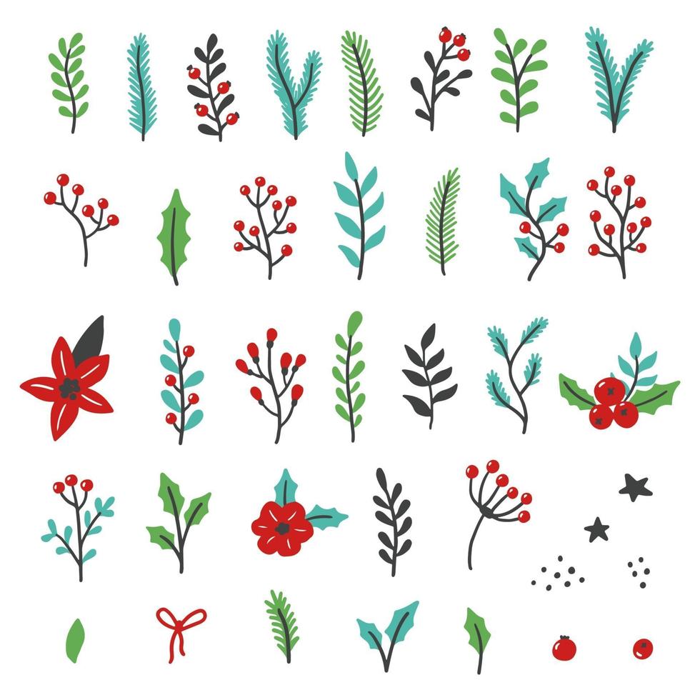 Set of christmas floral elements vector
