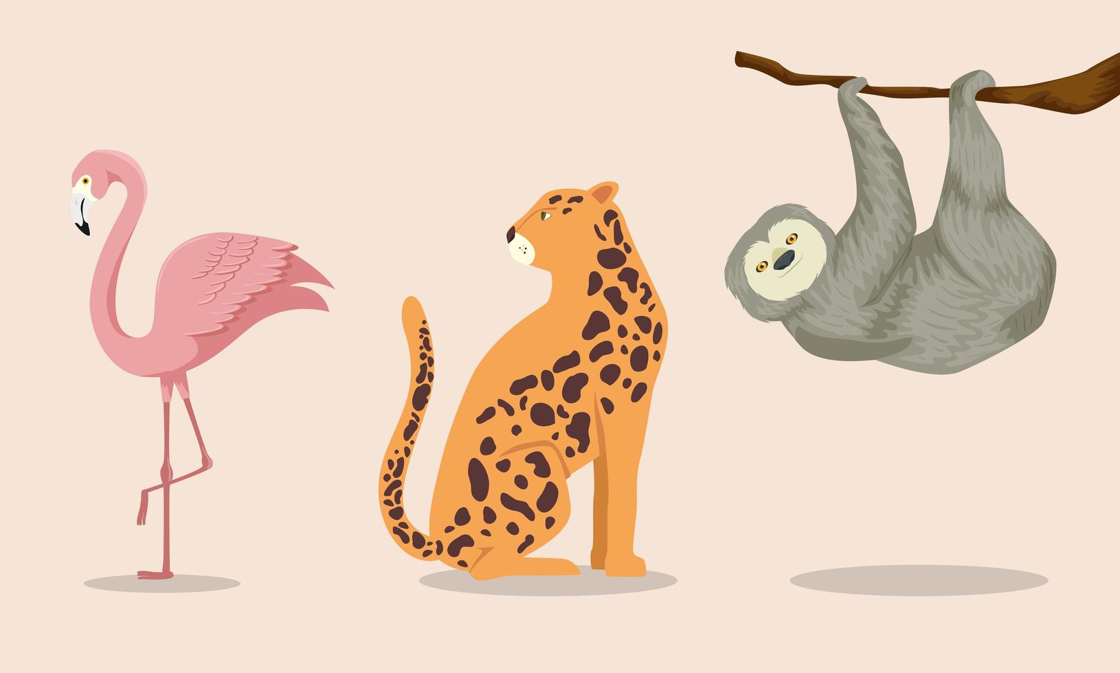 conjunto de animales exóticos tropicales vector