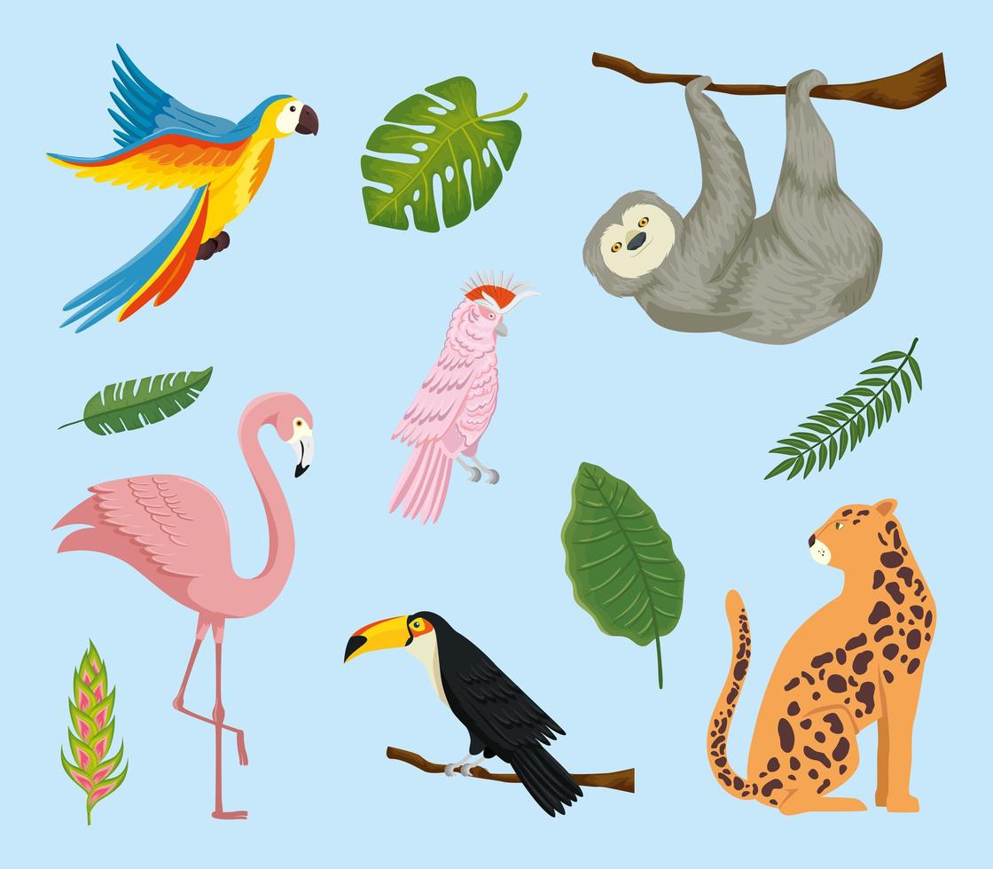set of animals exotics tropicals vector