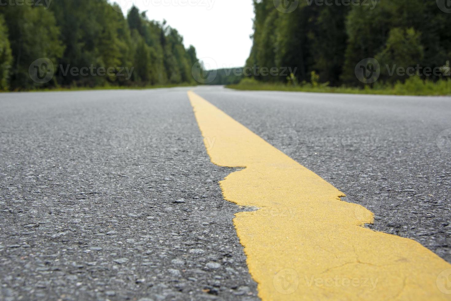 Asphalt road in the forest photo