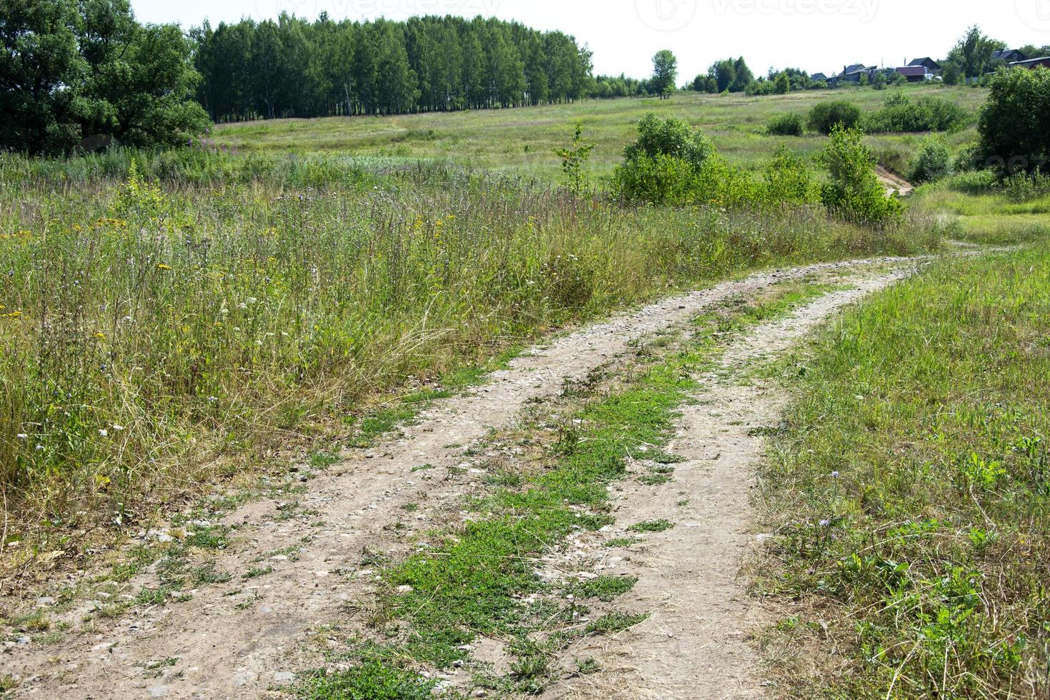 The road stretching into the distance photo