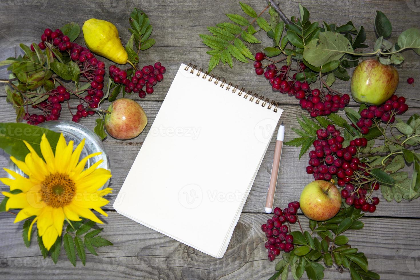 Notepad with a blank sheet on a wooden background photo