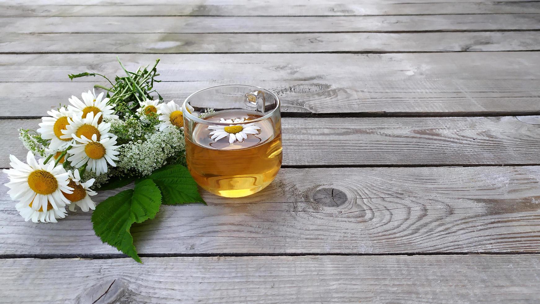 Chamomile tea and a bouquet of chamomiles photo