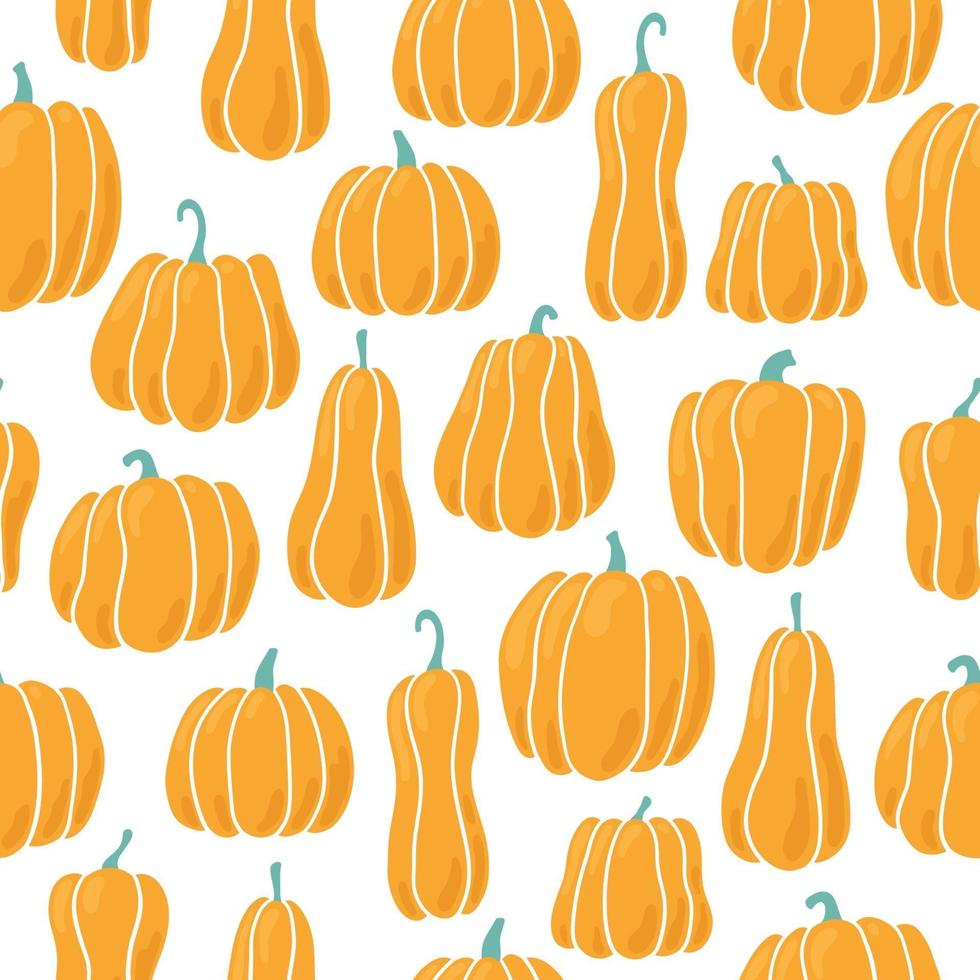 Pumpkin seamless pattern. Pumpkins of different shapes. vector