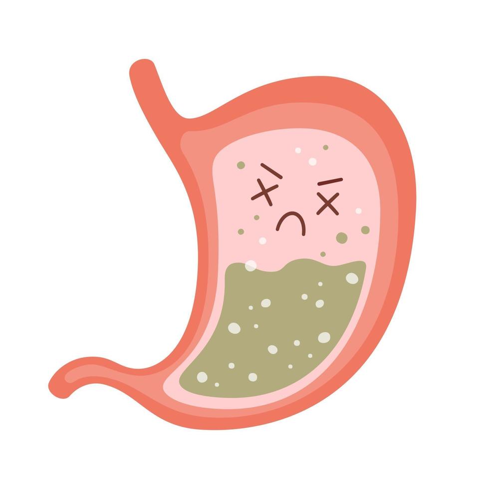 Human stomach. heartburn, gastritis and acid reflux and pain problems vector