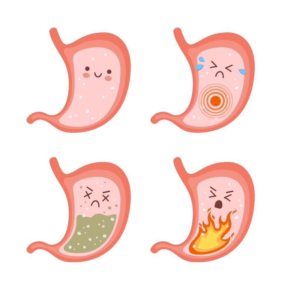 Healthy stomach and sick stomach characters. Gastritis, indigestion vector