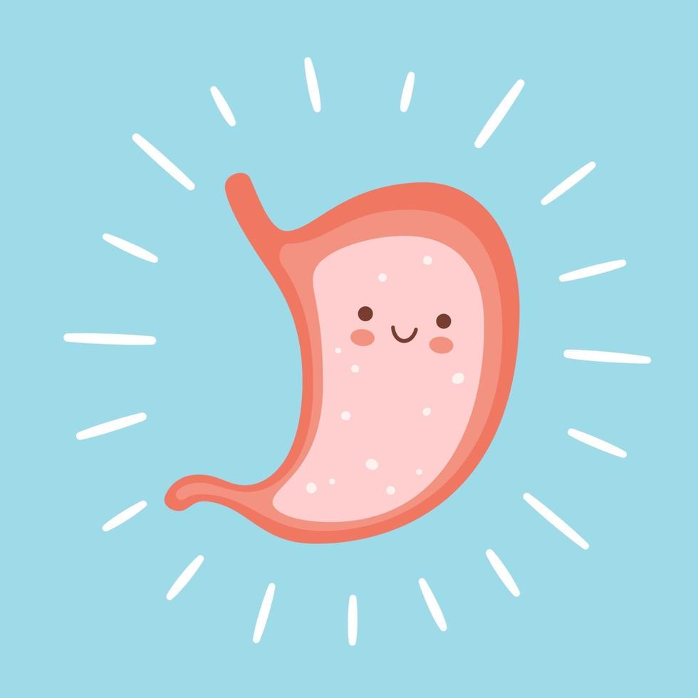 sonriente personaje de estómago lindo. símbolo de un estómago sano vector