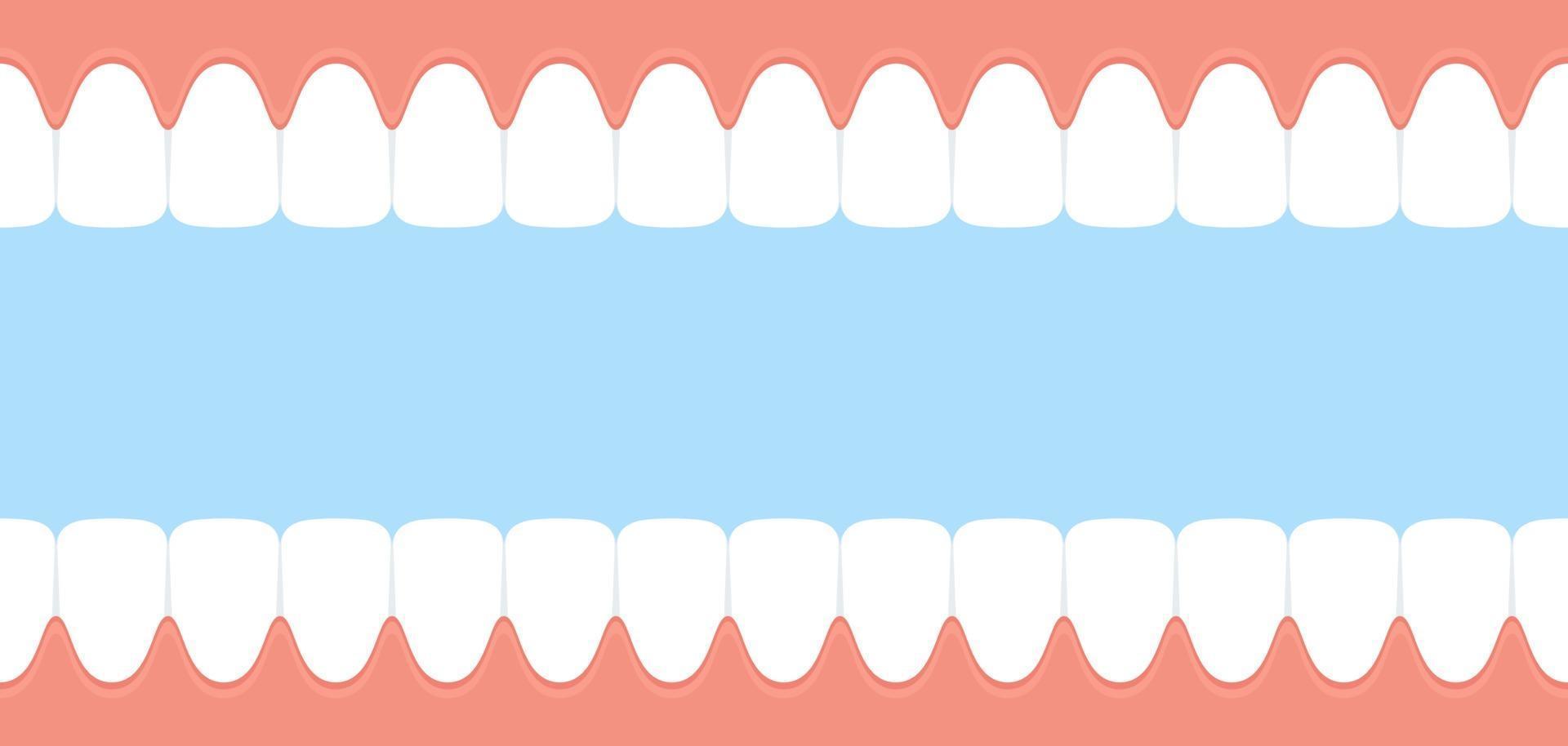 dientes y encías. abrir la boca vista interior. pancarta dental vector