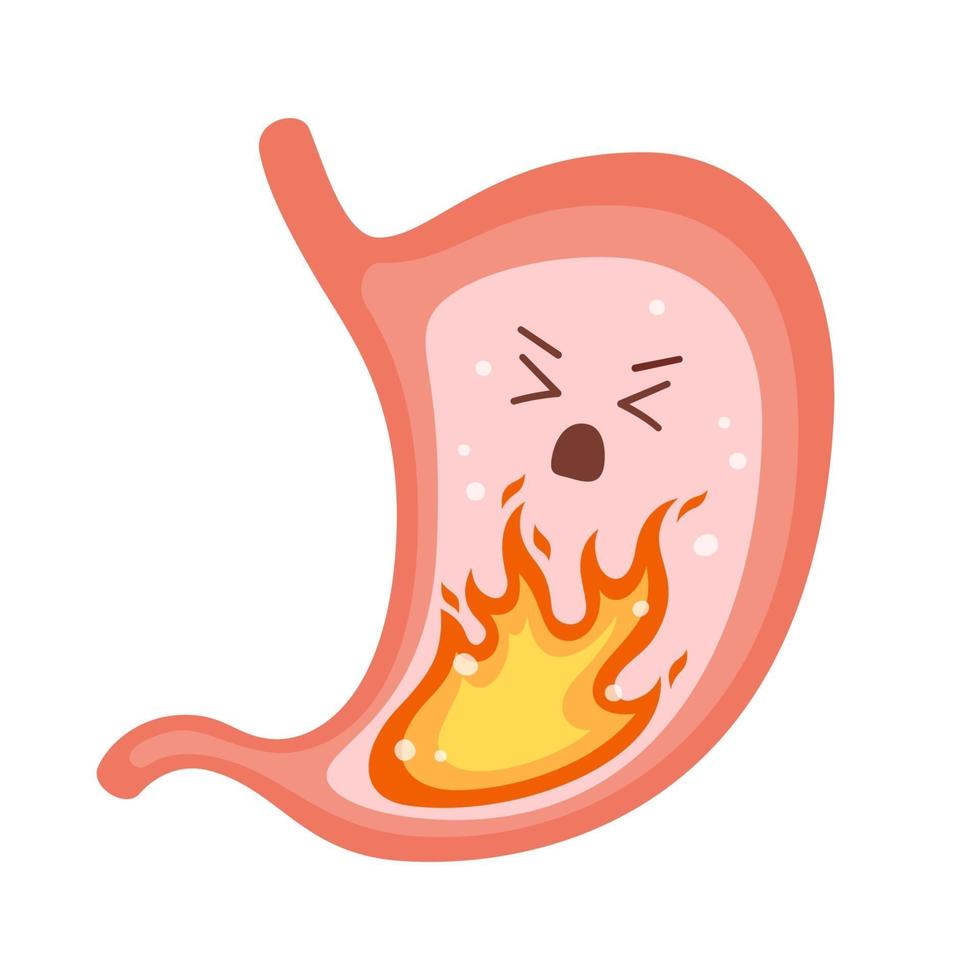 Human stomach. Heartburn, gastritis and acid reflux, indigestion vector