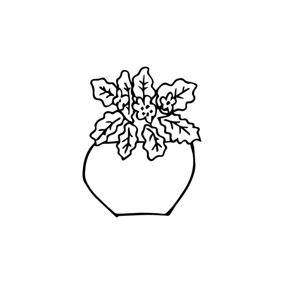 doodle de plantas caseras vector