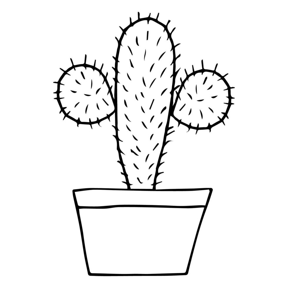 plantas de cactus, garabato vector