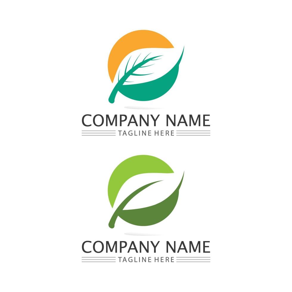 Logos of green Tree leaf ecology design nature logo vector